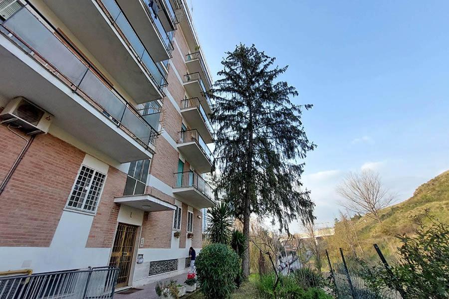 La Casa Di Flavia Hotel Roma Ngoại thất bức ảnh